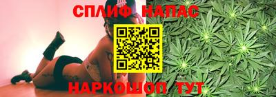 тгк Сланцы