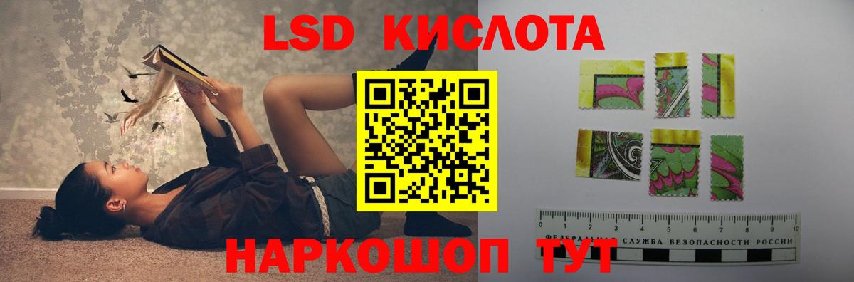 Отрадное  mega зеркало  Вход с VPN  Лсд 25 экстази кислота 