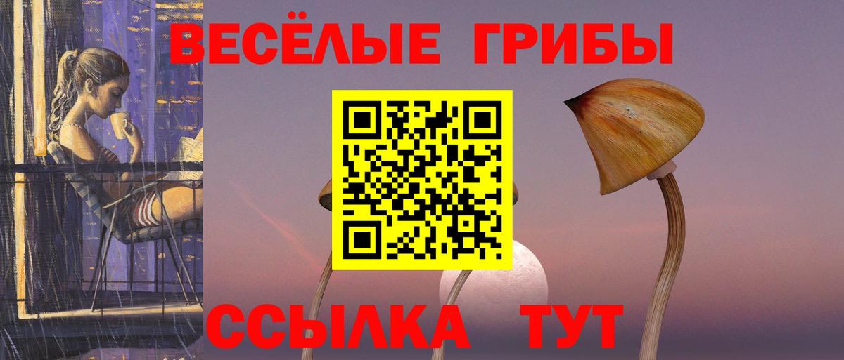 Псилоцибиновые грибы мицелий Отрадное